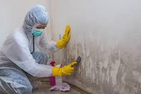 Mold Odor Removal Services in Penbrook, PA